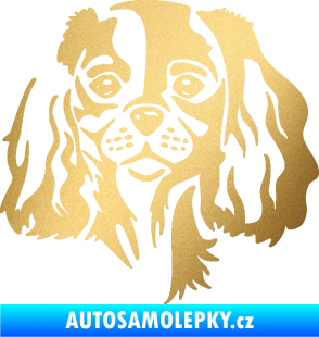 Samolepka Pes 132 pravá Cavalier king Charles spaniel zlatá metalíza