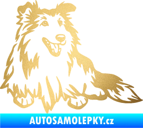 Samolepka Pes 162 pravá sheltie zlatá metalíza