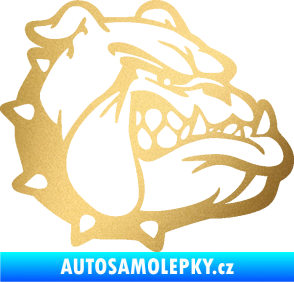 Samolepka Pes 174 pravá rozzuřený buldok zlatá metalíza