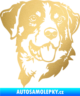 Samolepka Pes 197 pravá Appenzellský salašnický pes zlatá metalíza