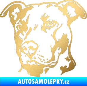 Samolepka Pes 198 pitbull levá zlatá metalíza