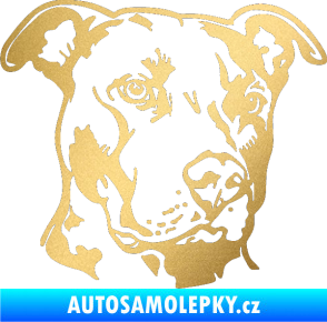 Samolepka Pes 198 pitbull pravá zlatá metalíza