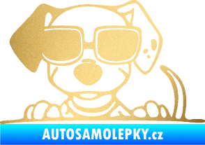 Samolepka Pes s brýlemi 101 levá v autě zlatá metalíza