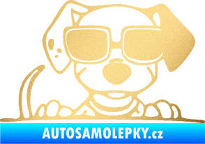 Samolepka Pes s brýlemi 101 pravá v autě zlatá metalíza