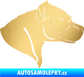 Samolepka Pitbull 004 pravá zlatá metalíza