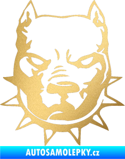 Samolepka Pitbull hlava 002 pravá zlatá metalíza