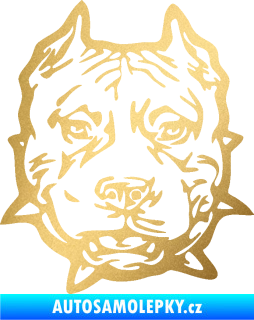 Samolepka Pitbull hlava 003 pravá zlatá metalíza