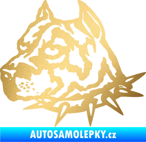 Samolepka Pitbull hlava 006 levá zlatá metalíza