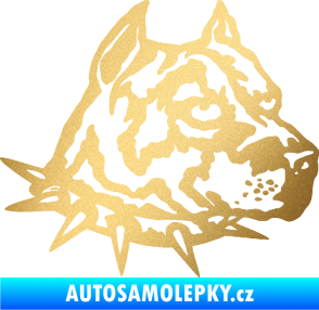 Samolepka Pitbull hlava 006 pravá zlatá metalíza