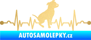 Samolepka Srdeční tep 007 pravá pitbull zlatá metalíza