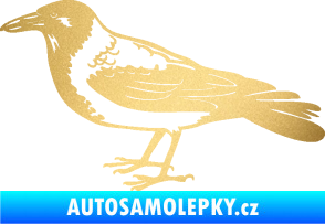 Samolepka Vrána 001 levá zlatá metalíza