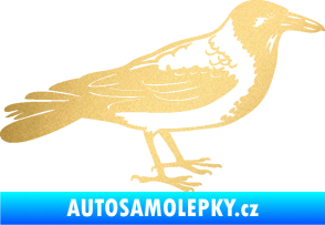 Samolepka Vrána 001 pravá zlatá metalíza