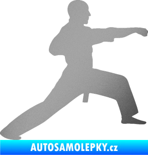 Samolepka Judo 001 pravá stříbrná metalíza
