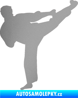 Samolepka Karate 008 pravá stříbrná metalíza