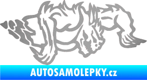 Samolepka Ostnatej pravá stříbrná metalíza