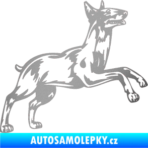 Samolepka Pes 015 pravá Bulteriér stříbrná metalíza