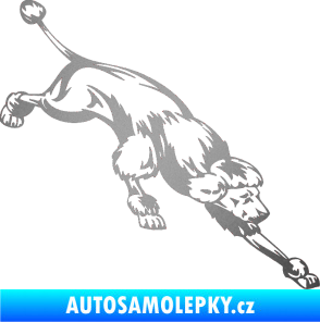 Samolepka Pes 022 pravá Pudl stříbrná metalíza