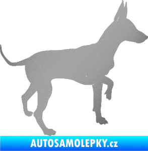 Samolepka Pes 093 pravá Pražský krysařík stříbrná metalíza