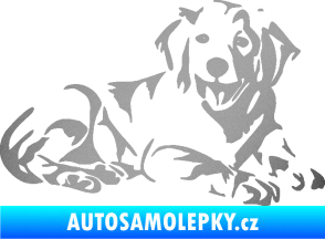 Samolepka Pes 106 pravá Retrívr stříbrná metalíza