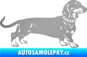 Samolepka Pes 122 pravá jezevčík stříbrná metalíza