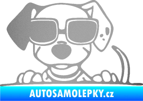 Samolepka Pes s brýlemi 101 levá v autě stříbrná metalíza