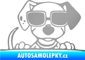 Samolepka Pes s brýlemi 101 pravá v autě stříbrná metalíza
