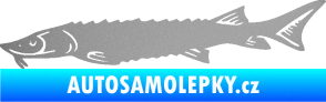 Samolepka Ryba 020 levá jeseter stříbrná metalíza