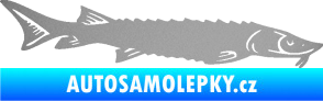 Samolepka Ryba 020 pravá jeseter stříbrná metalíza