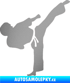 Samolepka Taekwondo 001 pravá stříbrná metalíza