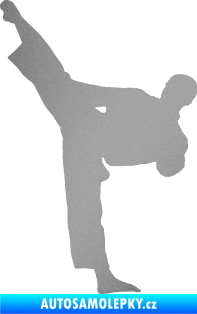 Samolepka Taekwondo 002 levá stříbrná metalíza