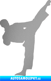 Samolepka Taekwondo 002 pravá stříbrná metalíza