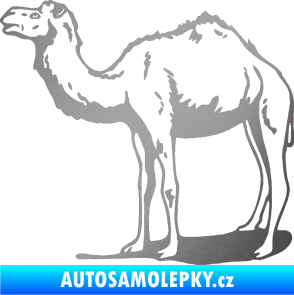 Samolepka Velbloud 001 levá stříbrná metalíza