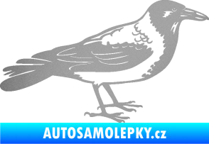 Samolepka Vrána 001 pravá stříbrná metalíza