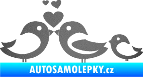 Samolepka Bird family 001 rodina v autě grafitová metalíza