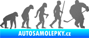 Samolepka Evoluce 003 hokej pravá grafitová metalíza