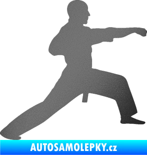 Samolepka Judo 001 pravá grafitová metalíza