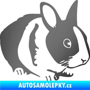 Samolepka Králík 002 pravá zakrslý králíček grafitová metalíza