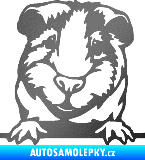 Samolepka Morče 004 levá grafitová metalíza