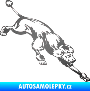 Samolepka Pes 022 pravá Pudl grafitová metalíza