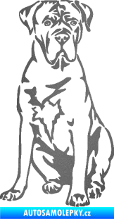 Samolepka Pes 194 pravá Cane Corso grafitová metalíza