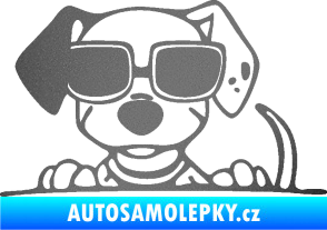 Samolepka Pes s brýlemi 101 levá v autě grafitová metalíza