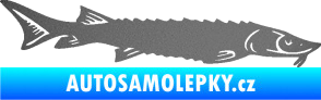 Samolepka Ryba 020 pravá jeseter grafitová metalíza