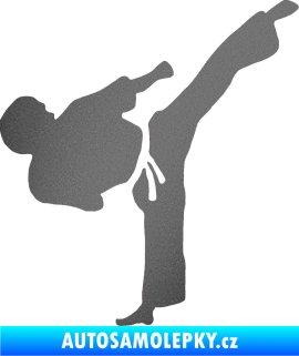 Samolepka Taekwondo 001 pravá grafitová metalíza