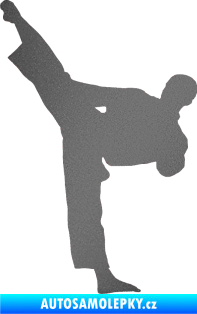 Samolepka Taekwondo 002 levá grafitová metalíza