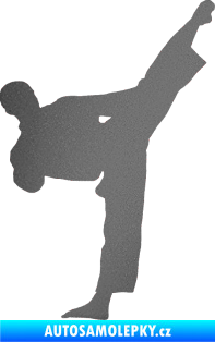 Samolepka Taekwondo 002 pravá grafitová metalíza