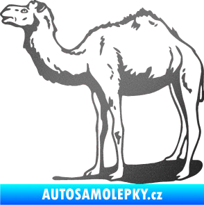 Samolepka Velbloud 001 levá grafitová metalíza