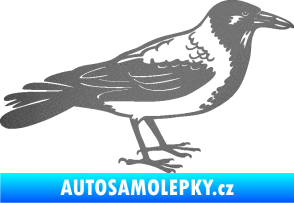 Samolepka Vrána 001 pravá grafitová metalíza