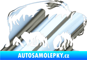Samolepka Animal flames 071 pravá býk chrom fólie stříbrná zrcadlová