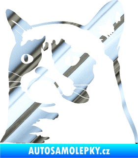 Samolepka Grumpy cat 002 levá chrom fólie stříbrná zrcadlová