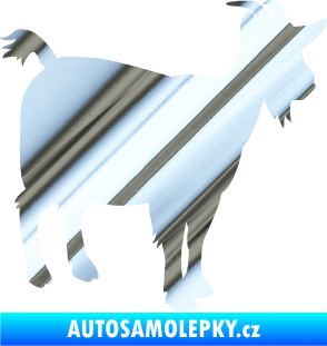 Samolepka Koza 001 pravá chrom fólie stříbrná zrcadlová